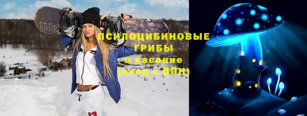 сатива Алексин