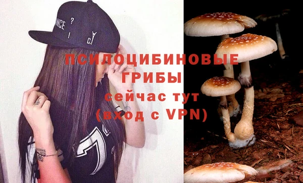 сатива Алексин