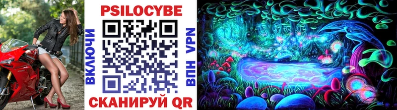 Псилоцибиновые грибы Cubensis  Бокситогорск 